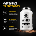 Muscle King Nutrition Whey Protein – Premium Concentrate Protein (Chocolate Flavor) - Image 7